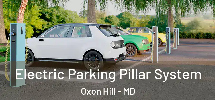  Electric Parking Pillar System Oxon Hill - MD