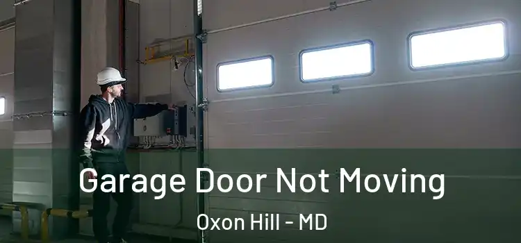  Garage Door Not Moving Oxon Hill - MD