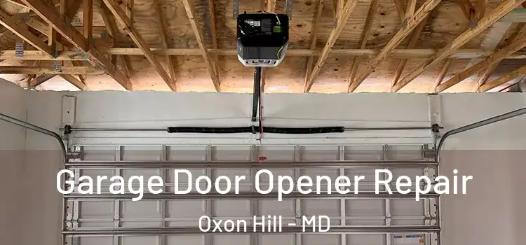  Garage Door Opener Repair Oxon Hill - MD