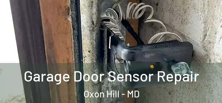 Garage Door Sensor Repair Oxon Hill - MD