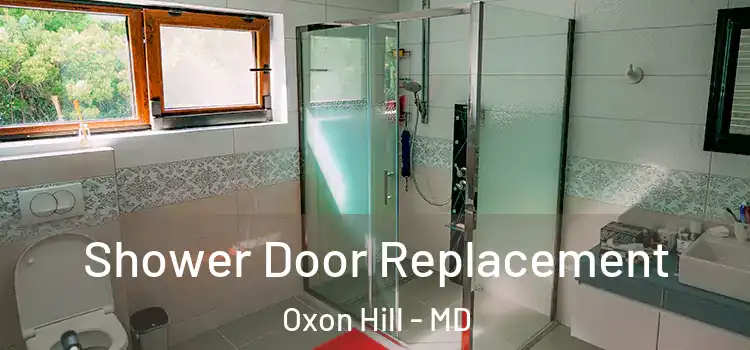 Shower Door Replacement Oxon Hill - MD